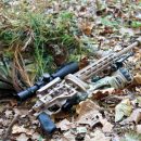 REM_PSR_MSR_Action5_2014.jpg