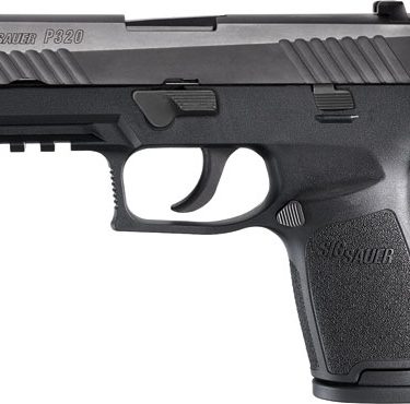 SS_P320C_Striker_2014.jpg