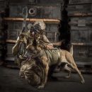 LBT-1608K9_2action_2015