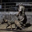 LBT-1608K9_3action_2015